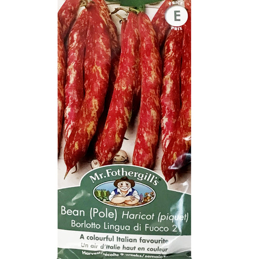 Bean Pole - Borlotto Lingua di F, Mr Fothergill's