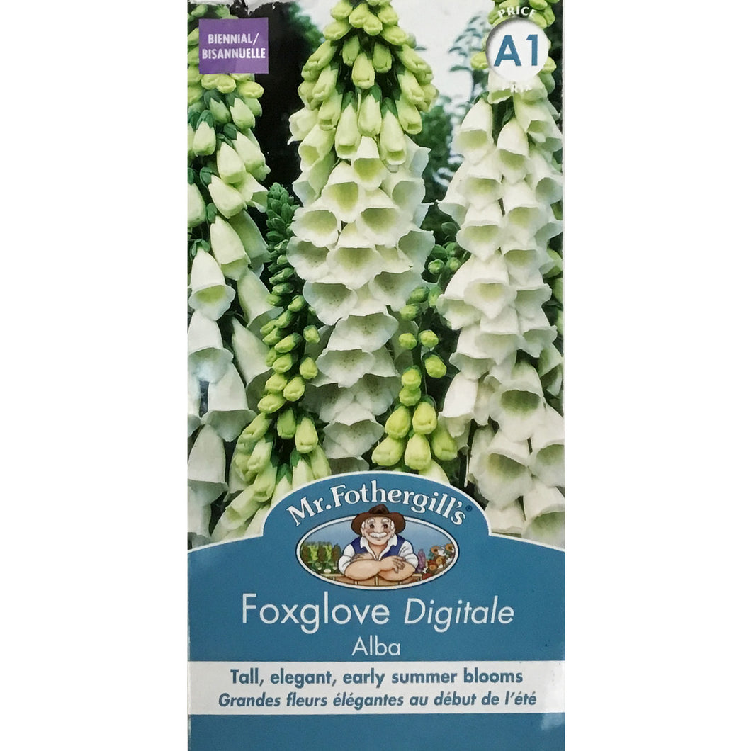 Foxglove - Pams Alba Seeds, Mr Fothergill's