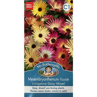Mesembryanthemum, Mr Fothergill's