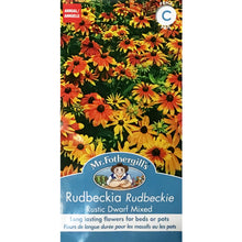 Load image into Gallery viewer, Rudbeckia, Mr Fothergill&#39;s
