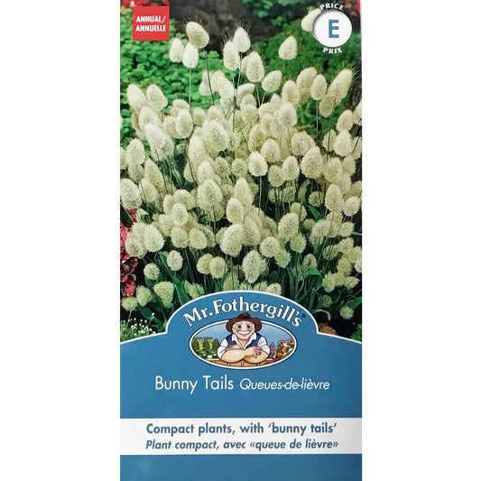 Ornamental Grass - Bunny's Tail Seeds, FG