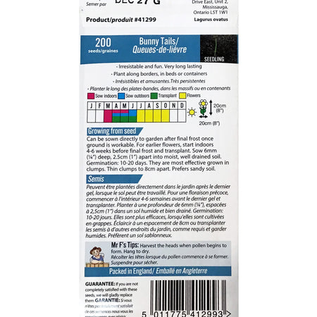 Ornamental Grass - Bunny's Tail Seeds, FG