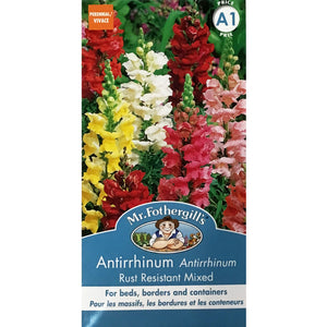 Antirrhinum, Rust Resistant Mixed, FG