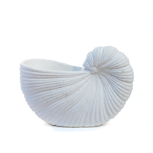 White Sea Shell Pot