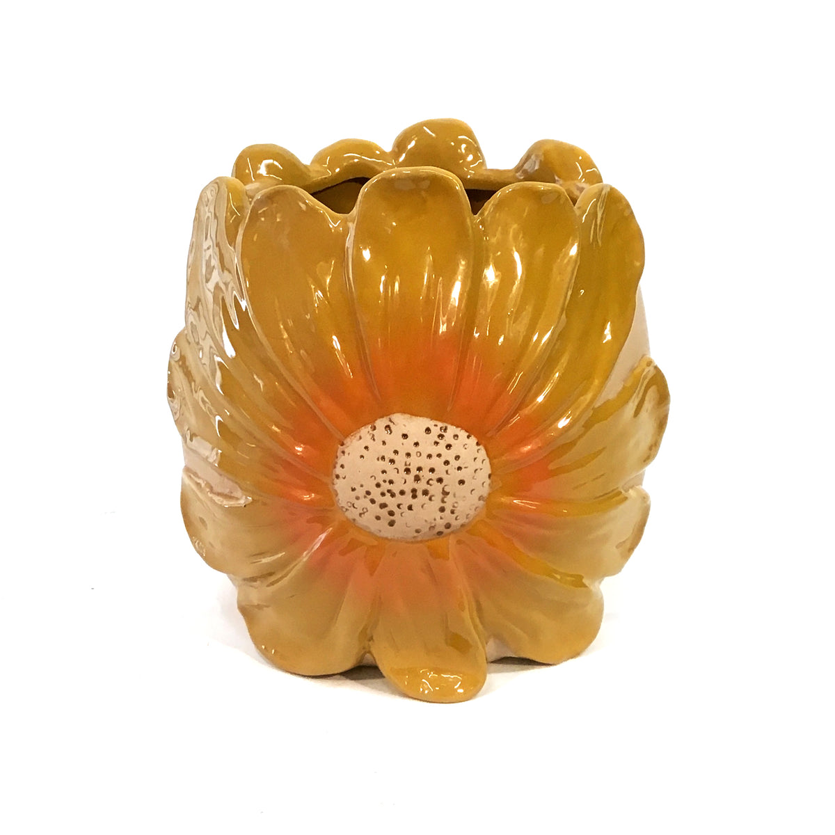 Gerbera Daisy Large Pot