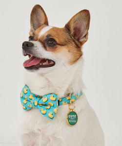 Pet Bow Tie, 3 Asst