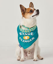 Load image into Gallery viewer, Reversible Pet Bandana, 3 Asst
