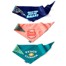 Load image into Gallery viewer, Reversible Pet Bandana, 3 Asst
