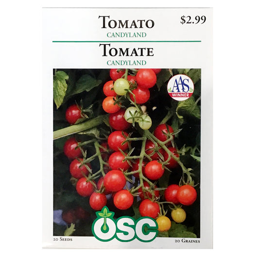 Tomato - Candyland Seeds, OSC