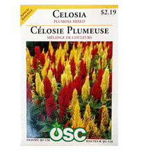 Load image into Gallery viewer, Celosia Plumosa Mixed, OSC
