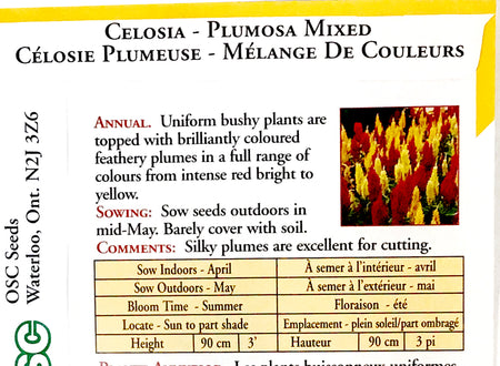 Celosia Plumosa Mixed, OSC