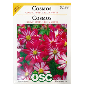 Cosmos - Cosimo Purple, Red, White Seeds, OSC