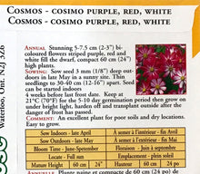 Load image into Gallery viewer, Cosmos - Cosimo Purple, Red, White Seeds, OSC
