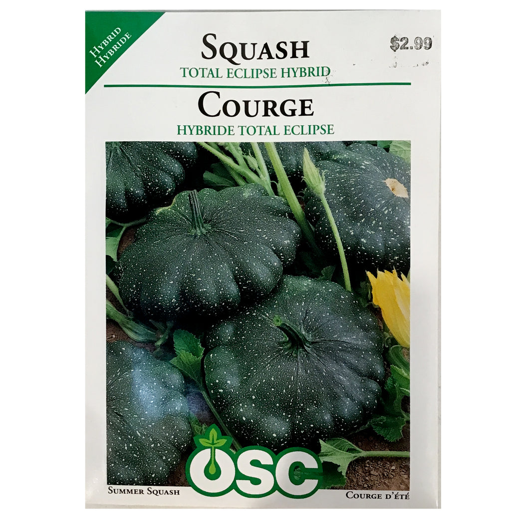Squash - Total Eclipse Hybrid Seeds, OSC