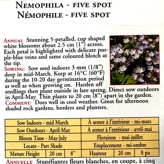 Nemophila - Five Spot Seeds, OSC