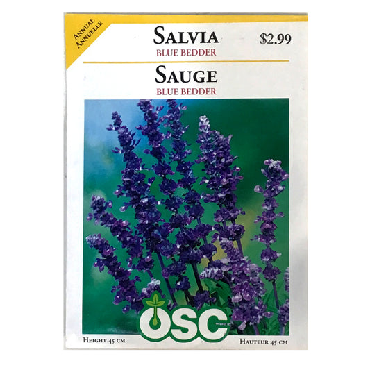 Salvia - Blue Bedder Seeds, OSC