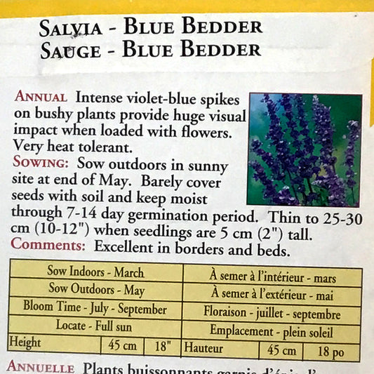 Salvia - Blue Bedder Seeds, OSC