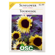 Load image into Gallery viewer, Sunflower - Lemon Sorbet Seeds, OSC

