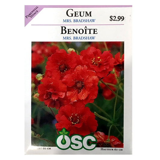 Geum Mrs. Bradshaw Seeds, OSC