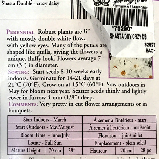Shasta Daisy Crazy Daisy Double Seeds, OSC