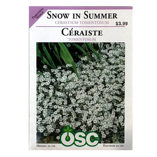 Snow In The Summer Cerastium Tomentosum Seeds, OSC