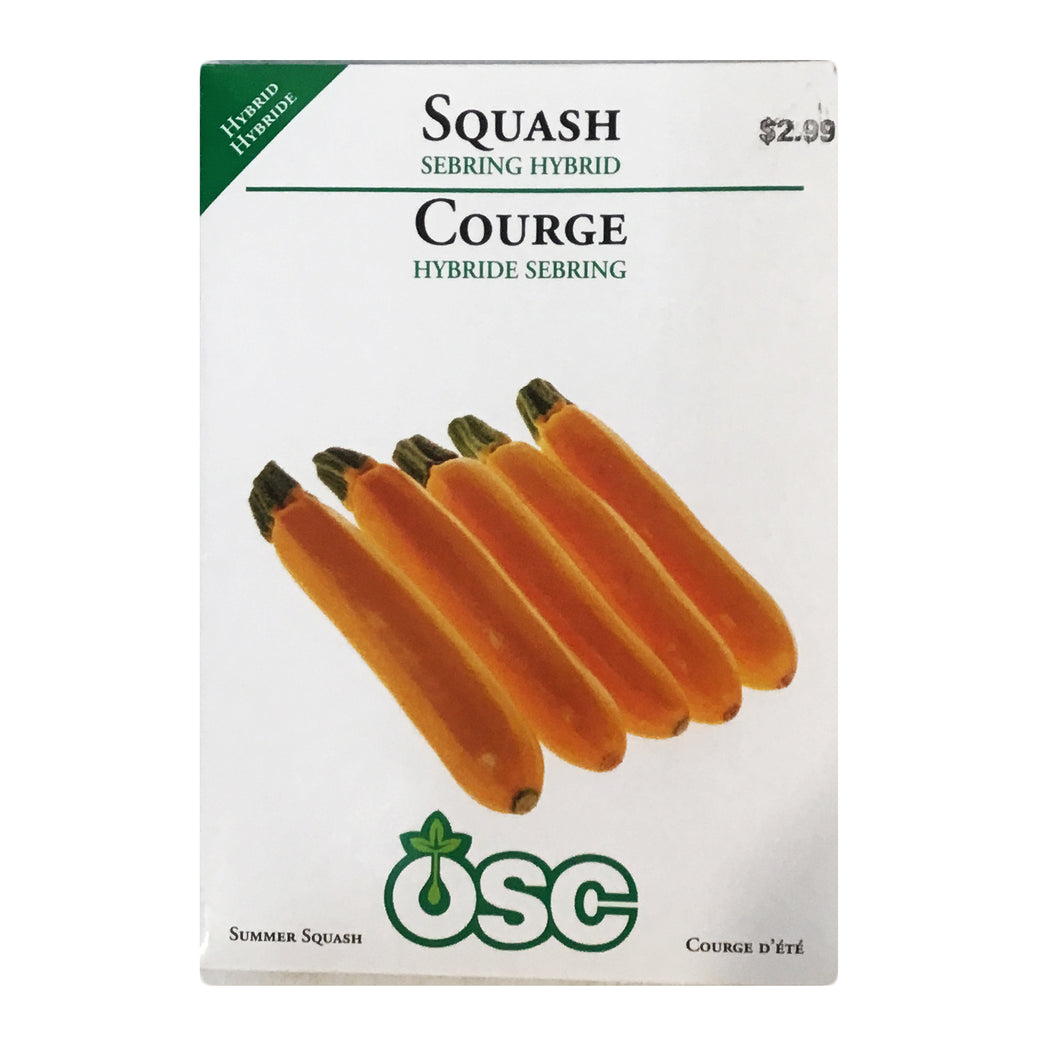 Squash - Sebring Hybrid Seeds, OSC