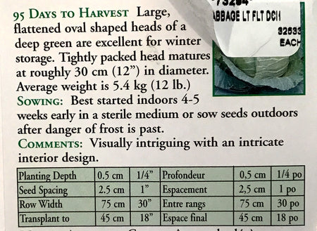 Cabbage - Late Flat Dutch Seeds, OSC