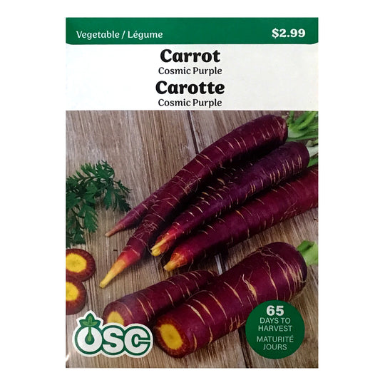 Carrot - Cosmic Purple Seeds, OSC