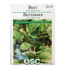 Load image into Gallery viewer, Beet - Lutz Green Leaf Seeds, OSC
