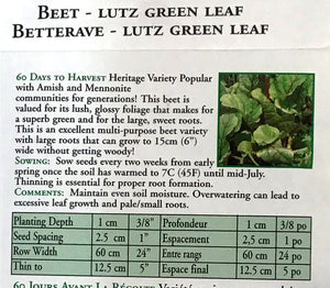 Beet - Lutz Green Leaf Seeds, OSC