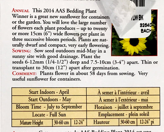 Sunflower - Suntastic Yellow and Black Seeds, OSC