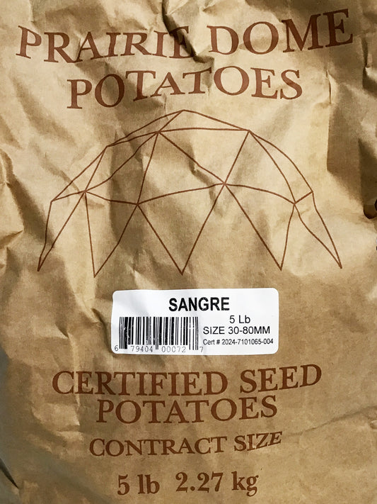 Seed Potato - Sangre, 5lb Bag
