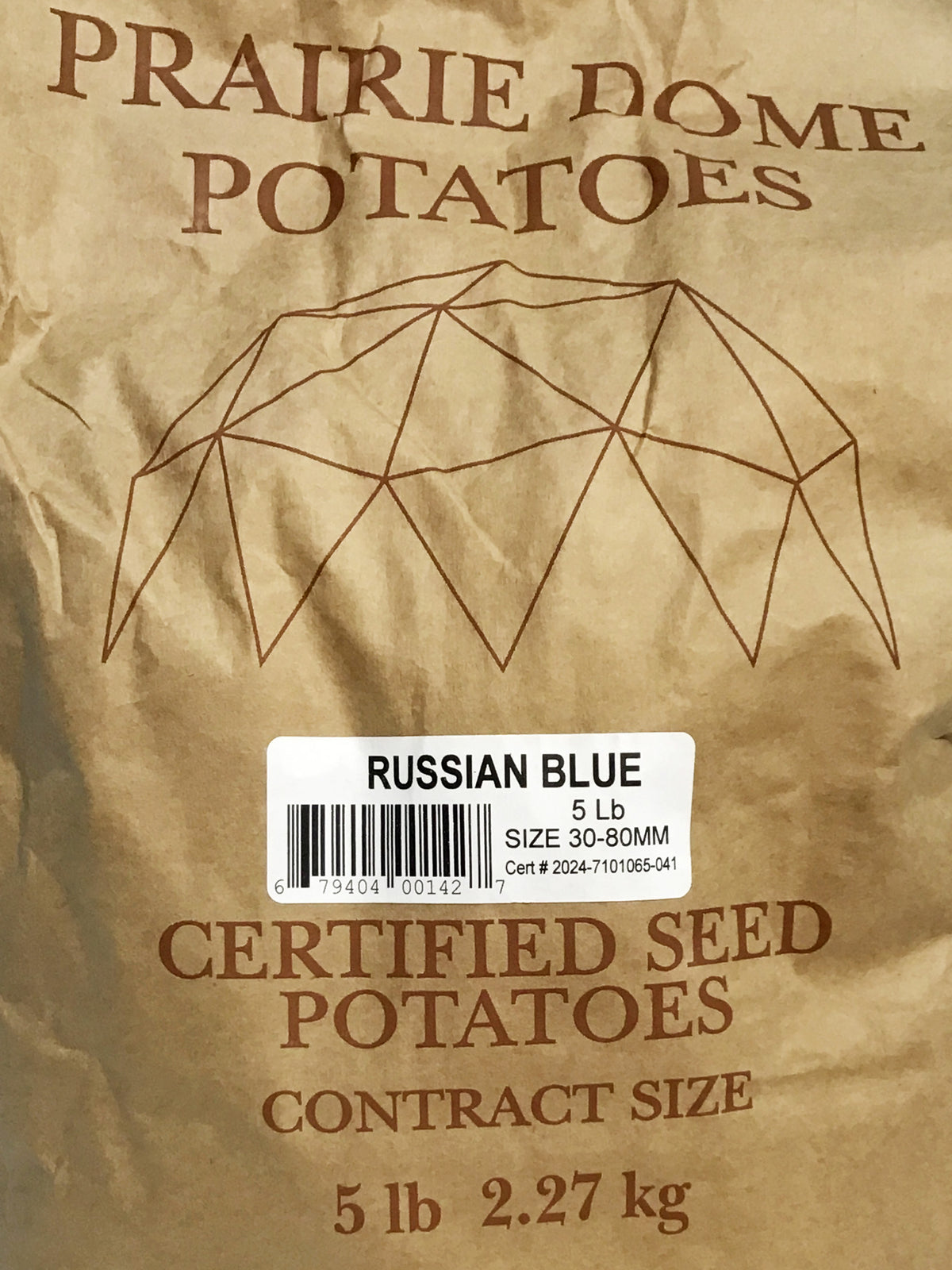 Seed Potato - Russian Blue, 5lb Bag