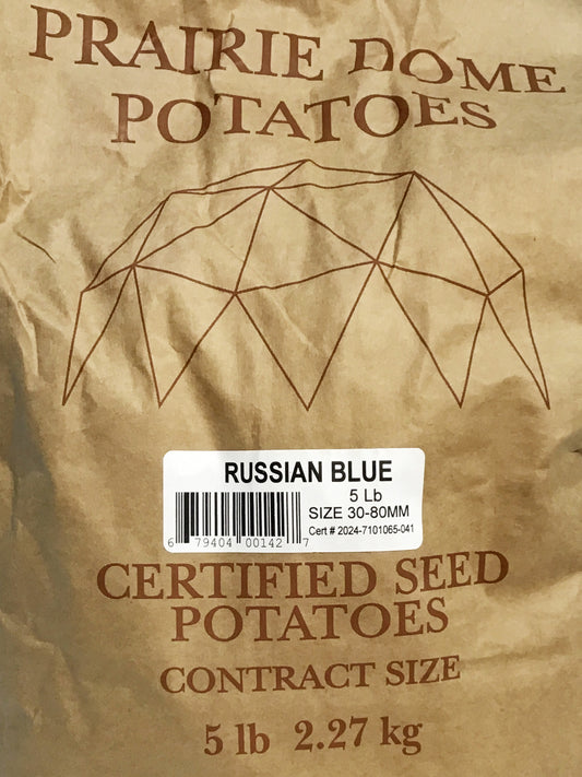 Seed Potato - Russian Blue, 5lb Bag