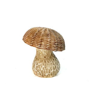 Small Mushroom with Woven Top