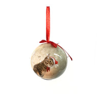 LED Santa Cat Ball Ornament