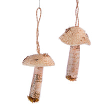 Load image into Gallery viewer, Mushroom with Moss Ornament, 2 Asst
