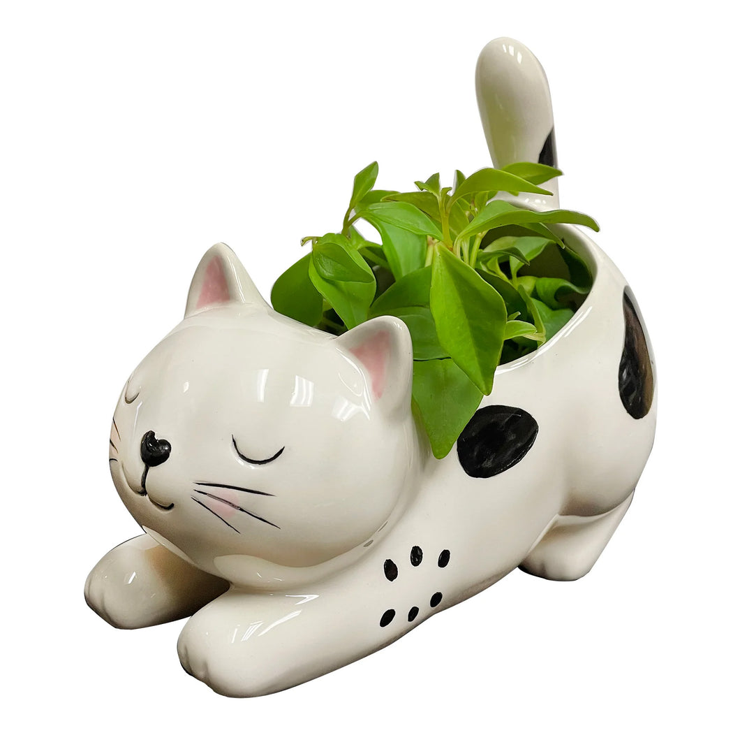 Ceramic Raise Your Bum Kitty Planter