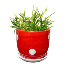 Load image into Gallery viewer, Ceramic Spotted Mushroom Planter
