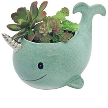 Load image into Gallery viewer, Ceramic Narwhal Planter
