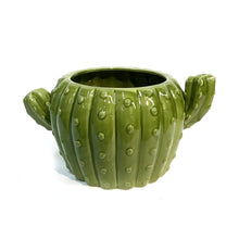 Load image into Gallery viewer, Ceramic Cactus Planter
