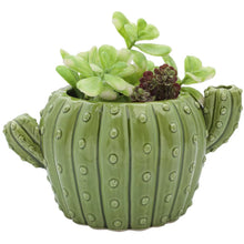 Load image into Gallery viewer, Ceramic Cactus Planter
