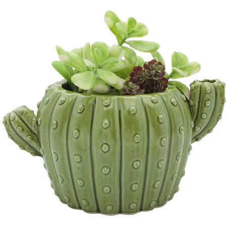 Ceramic Cactus Planter