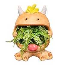 Load image into Gallery viewer, Ceramic Kooky Monster Planter, 3 Asst
