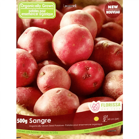 Seed Potato - Sangre VN, 500g Bag