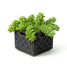 Load image into Gallery viewer, Ceramic Milk Crate Planter
