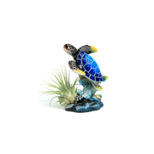 Load image into Gallery viewer, Tillandsia with Turtle on Base
