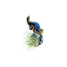 Load image into Gallery viewer, Tillandsia with Turtle on Base
