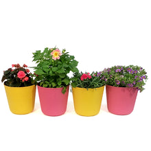 Load image into Gallery viewer, Planter, 9in, Pixie Pot, Assorted
