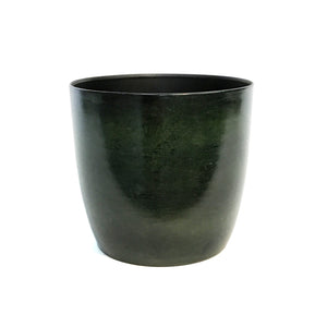 Pot, 6In, Alano, Green